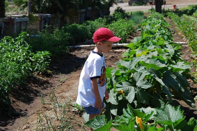 [DSC_0013-798602.JPG]