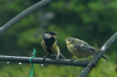 Benutzerübermitteltes Bild