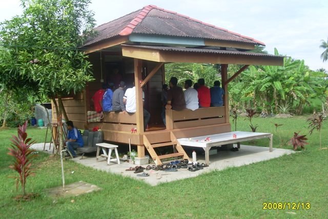 [SL377422.JPG]