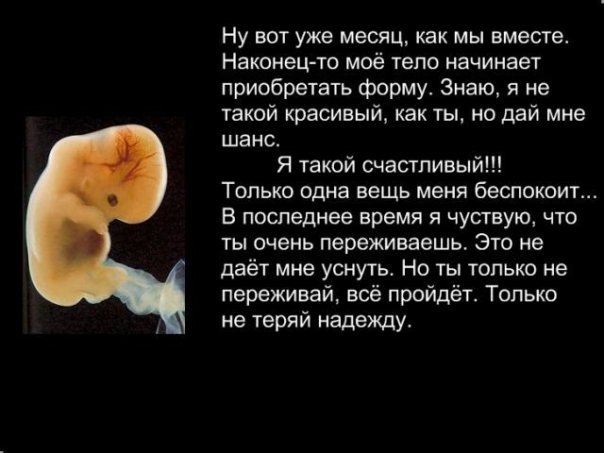 Сколько сохнет лак для ногтей обычный лак Сколько сохнет лак для ногтей обычный лак