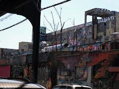 Some beautiful Brooklyn Graffitti- power to the streets n that!