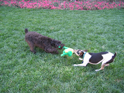 http://4.bp.blogspot.com/_4KmwS2aT7Q4/SYP7lYwhbcI/AAAAAAAABjg/LJkFU1w1Nxc/s400/tug-o-war-apr05.jpg