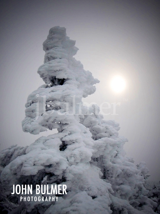 [Cascade_tree1_blog.jpg]