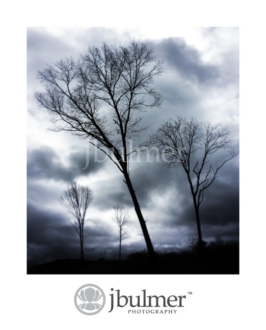 [pinebush_dawn_blog]