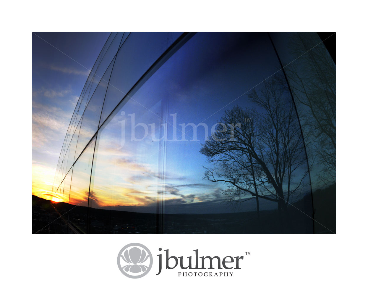 [reflection_tree1_blog.jpg]