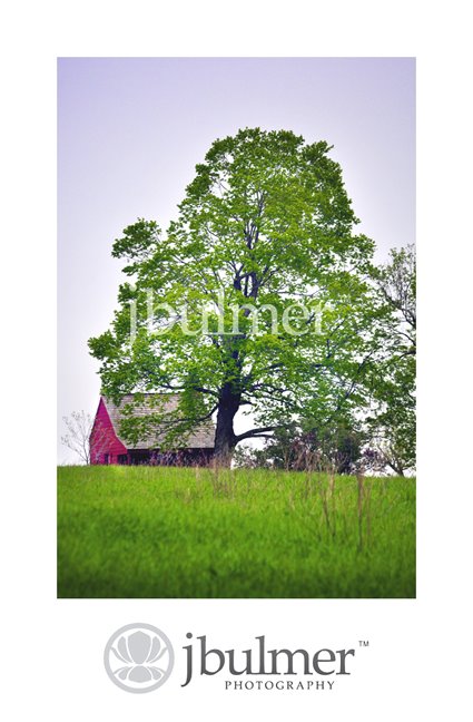 [house_under_tree_water2.jpg]