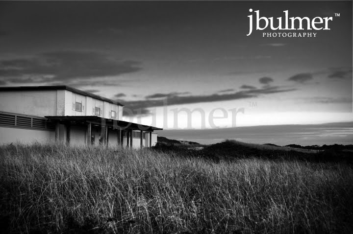 [herring_09_bwblog.jpg]