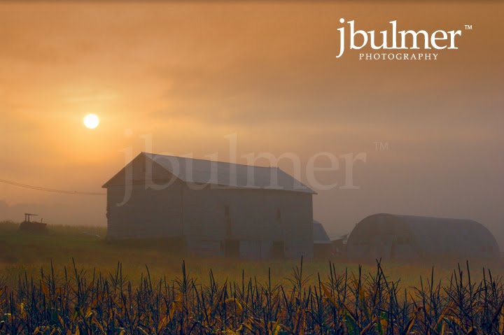 [goold_2009_blog.jpg]