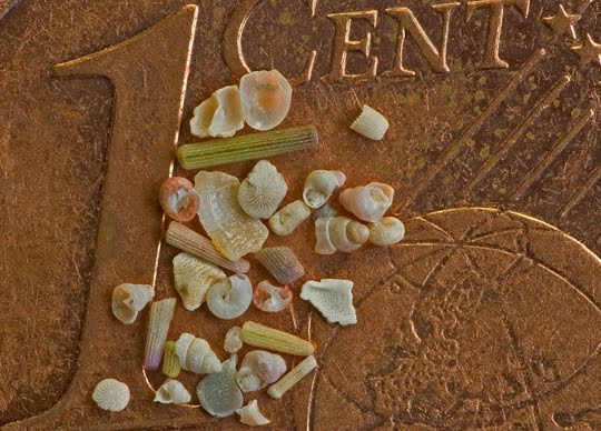 [A3-Sand+on+Cent2small.jpg]