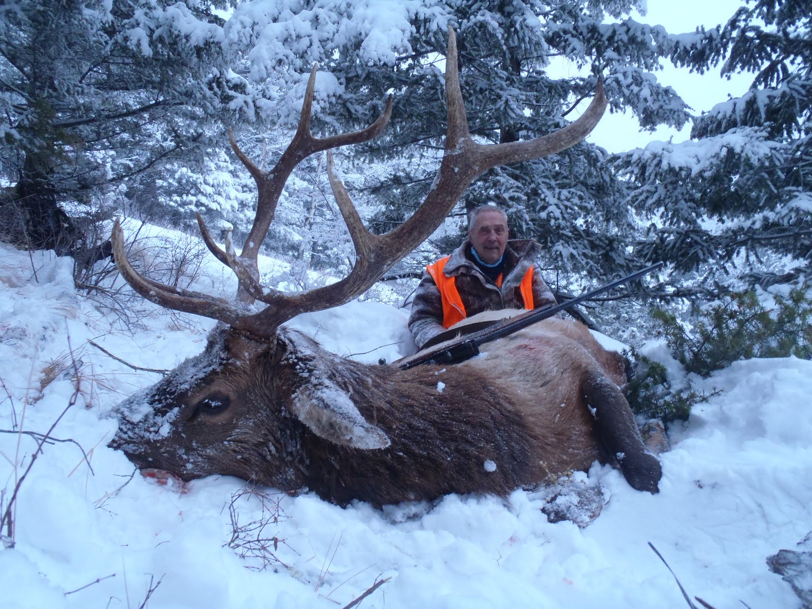 Montana Outfitter Journal The Elk Hunting Experience