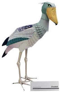 Animal Papercraft Shoebill Bird