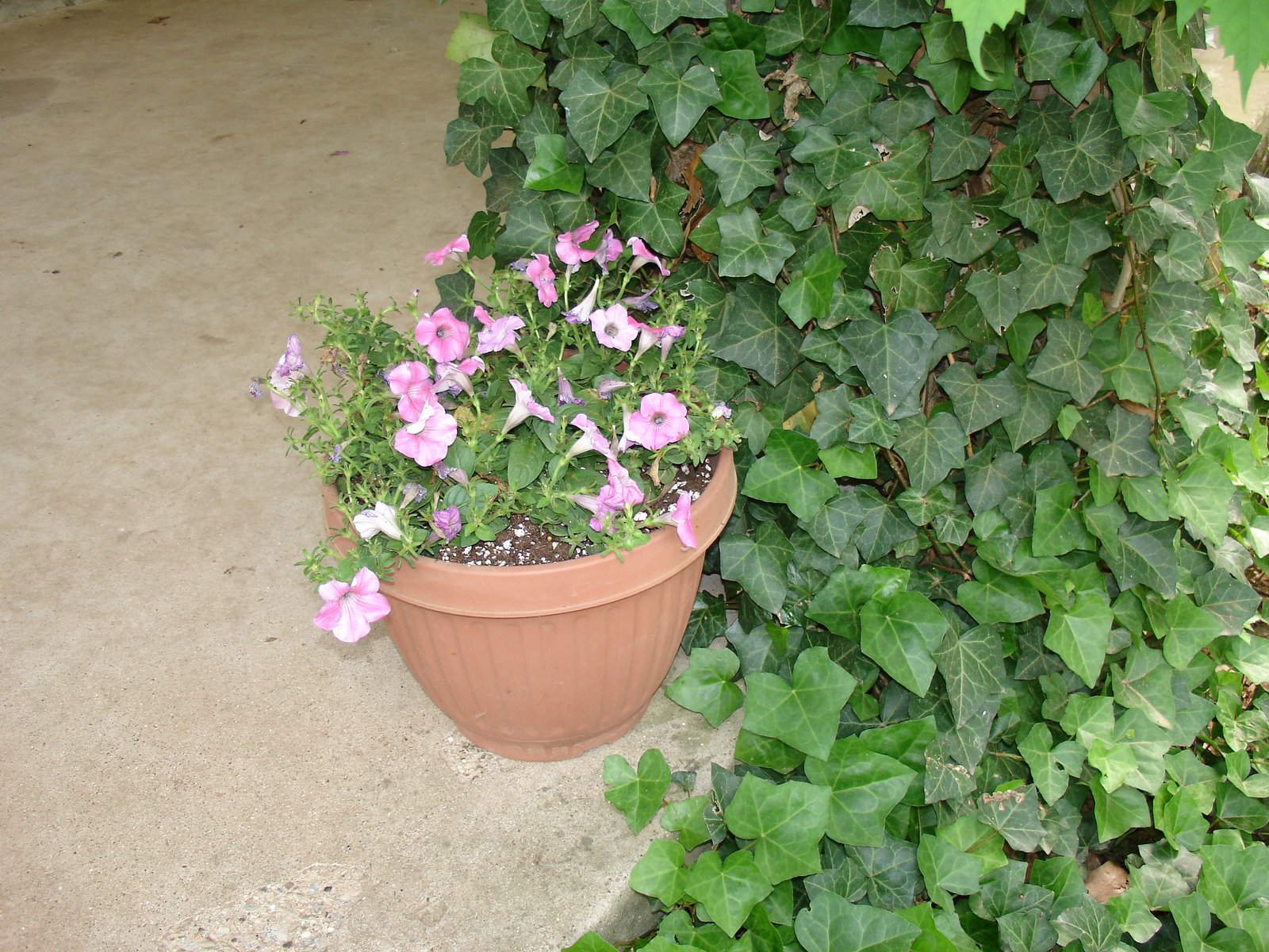 [DSC03615.JPG]