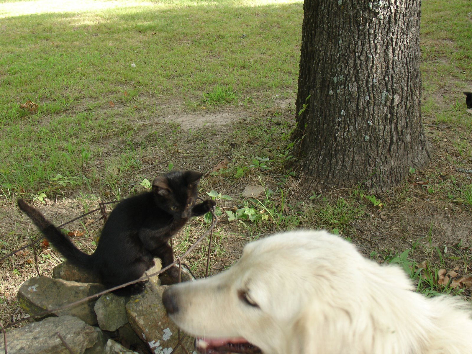 [DSC03723.JPG]