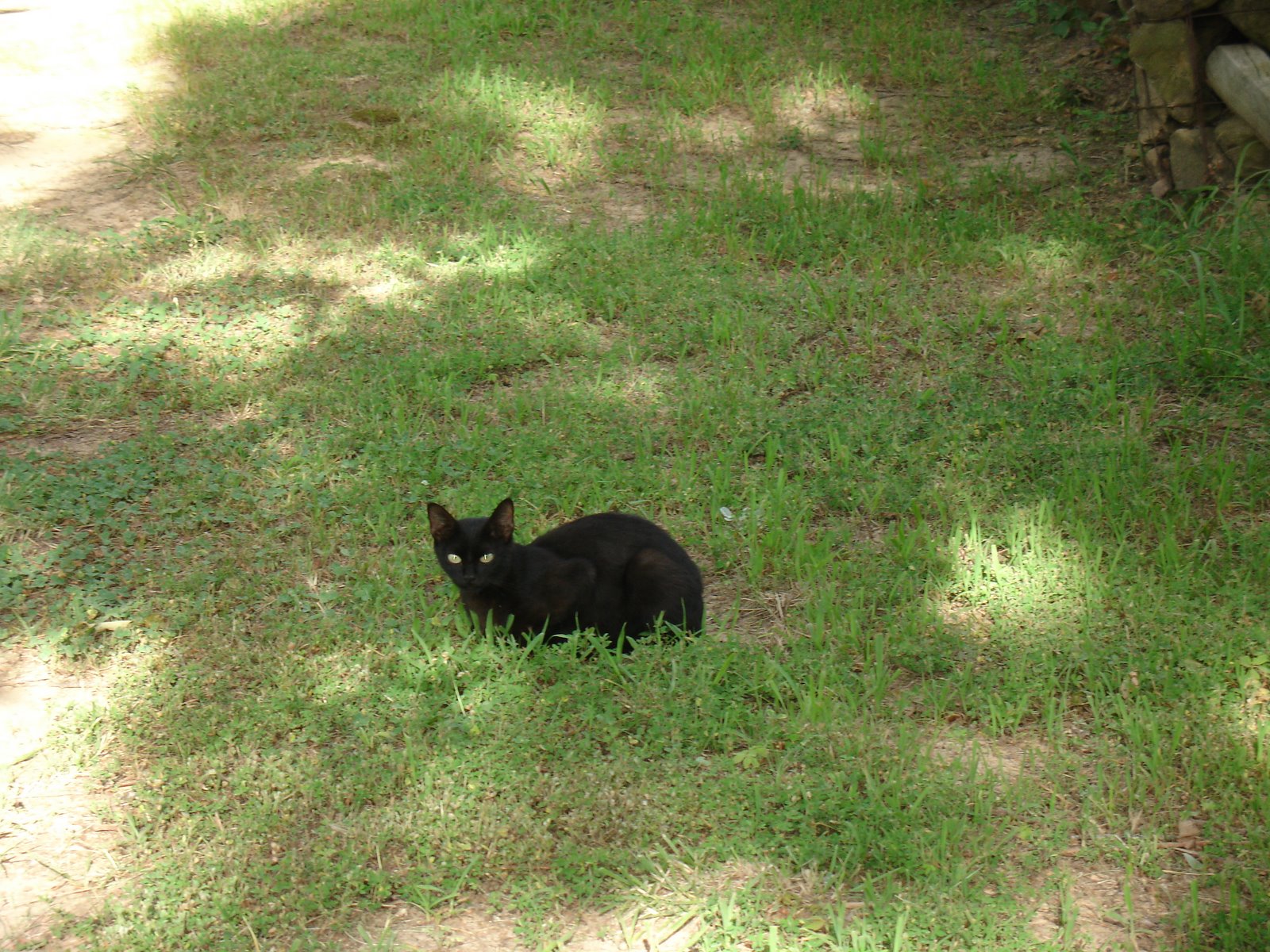 [DSC03722.JPG]