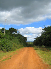 Roter Boden, grüne Bäume und blauer Himmerl- das typische Landschaftsbild in Paraguay