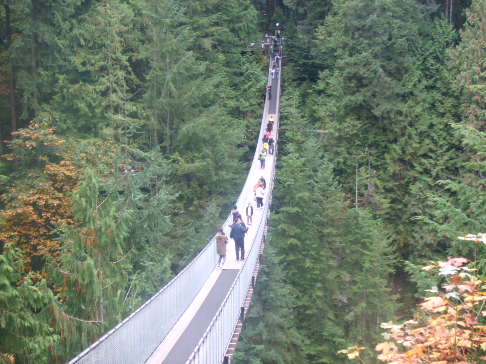 NICOLE IN VANCOUVER Capilano Suspension Bridge & Grouse Mountain...