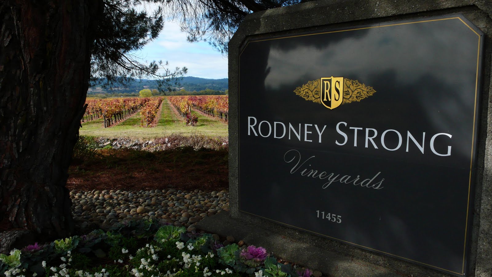 rodney strong winery