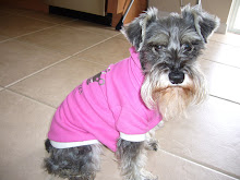 Our Bella Dog