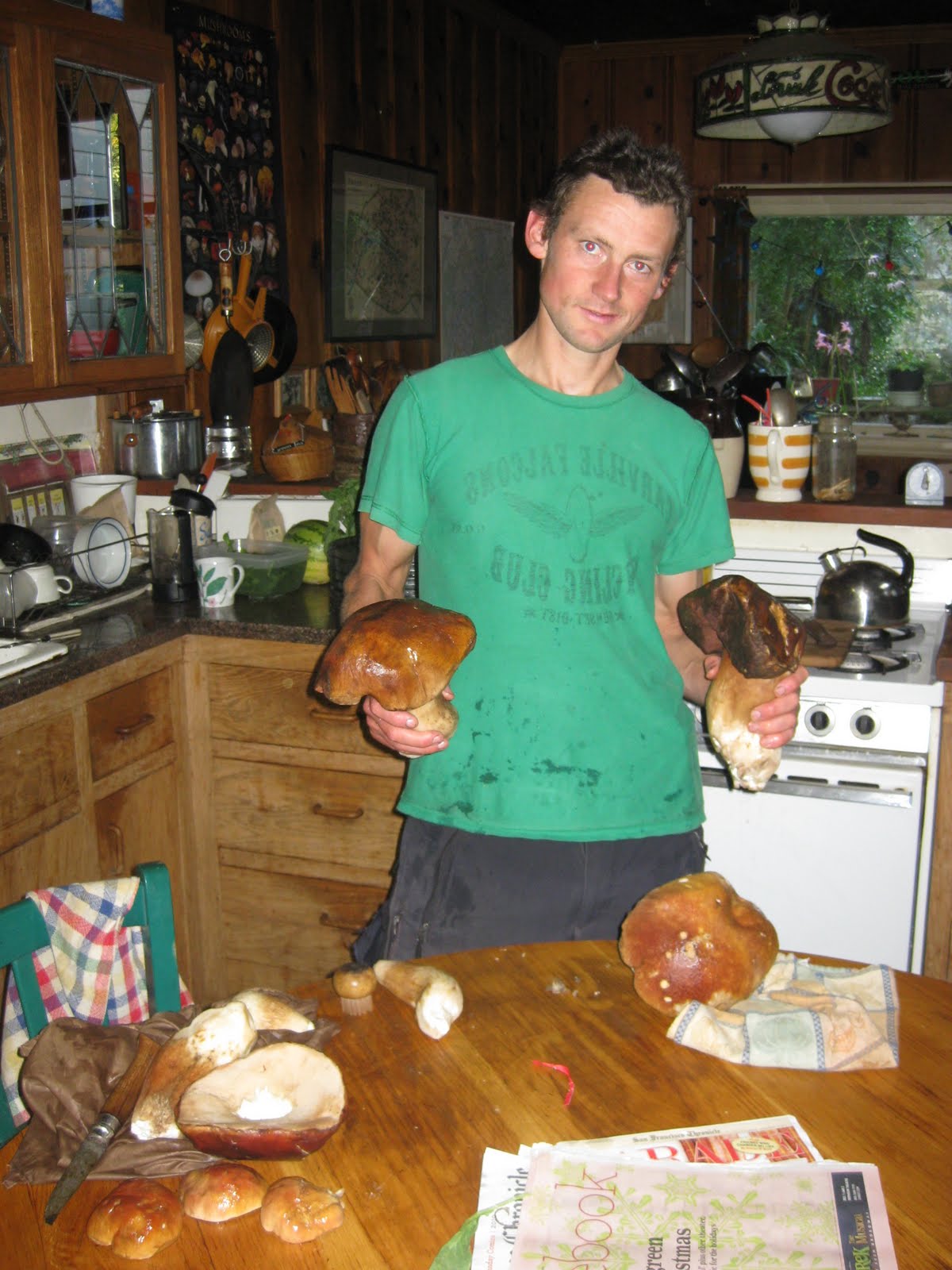 Pigs of the Woods