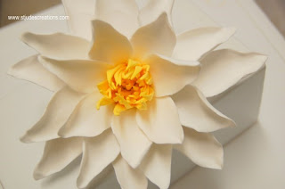 How to Make Water Lily Paper Flower, White Flower