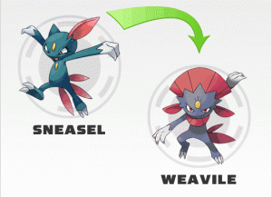 Consenhos para o rebalanciamento do Sneasel , se q ele vai ser rebalanciado Sneasel