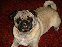 The Pug