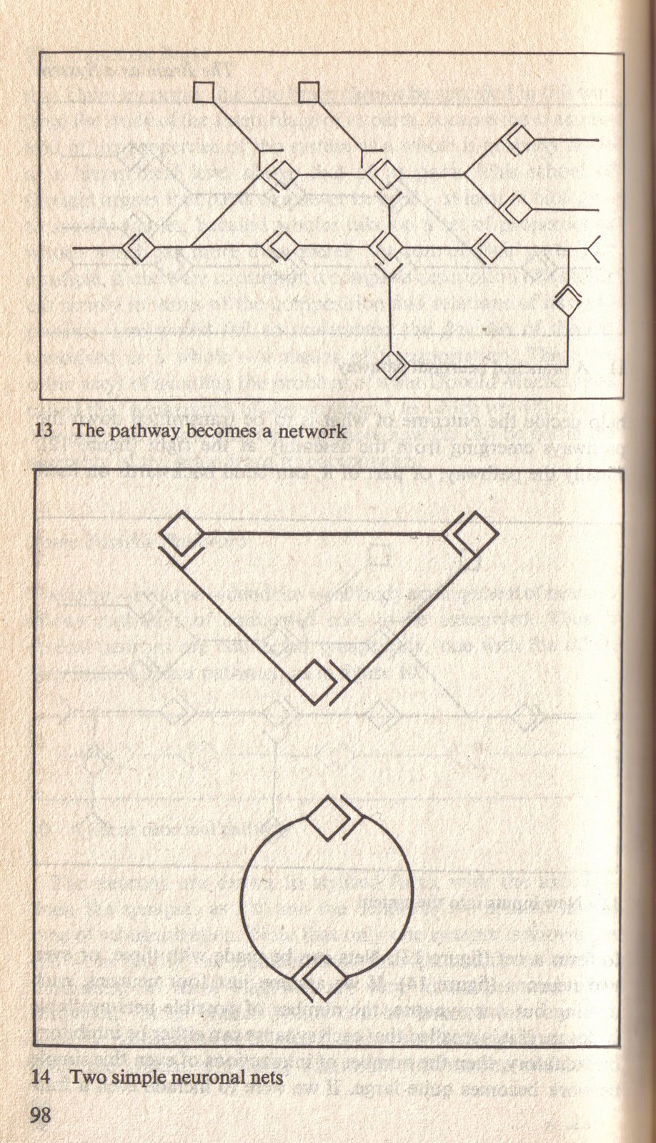 [conscious+brain+p98+neuron+connection+net+1.jpg]