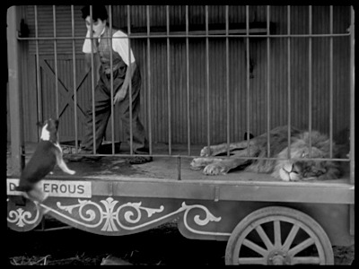  Charlie Chaplin. The Circus. jumping dog