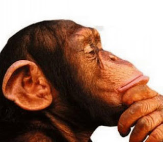 reflexion reflexion