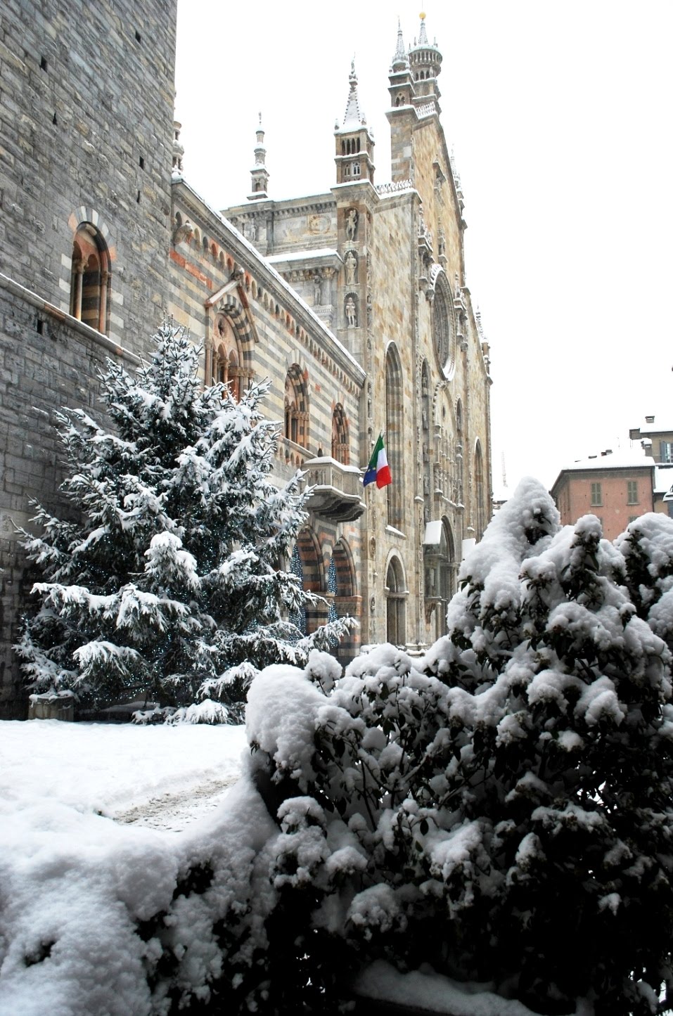 [Franco22.12.009DSC_2499.jpg]