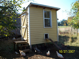 Multiple Wooden Chicken Coops plans