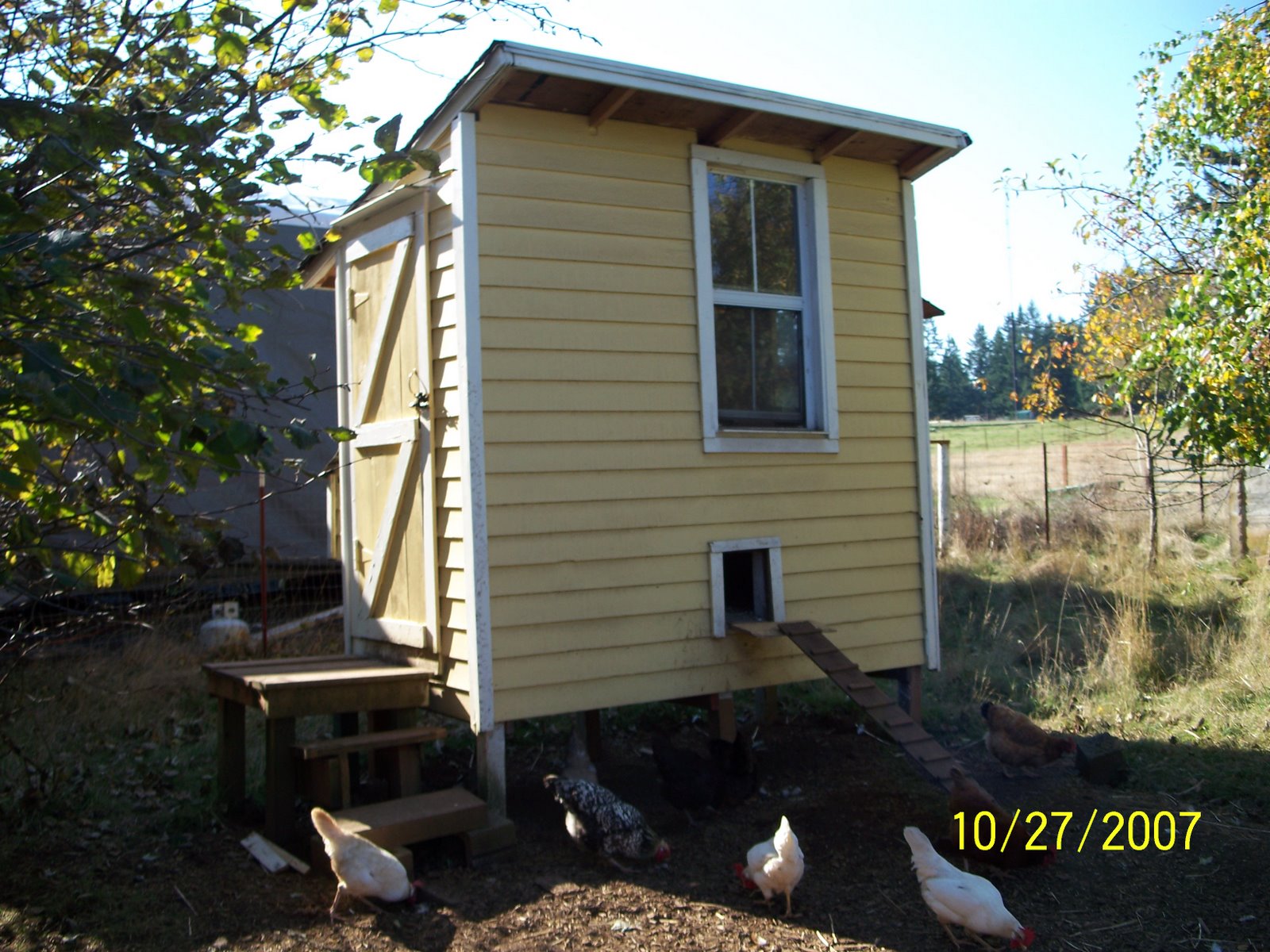 chicken coop designs there are hundreds of different designs available