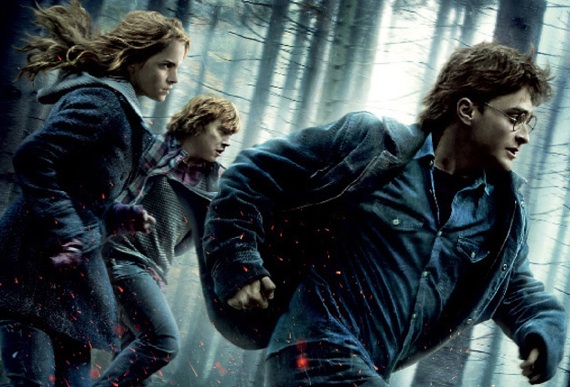 harry potter and the deathly harry potter and the deathly hallows part 1 dvd case. harry potter and the deathly