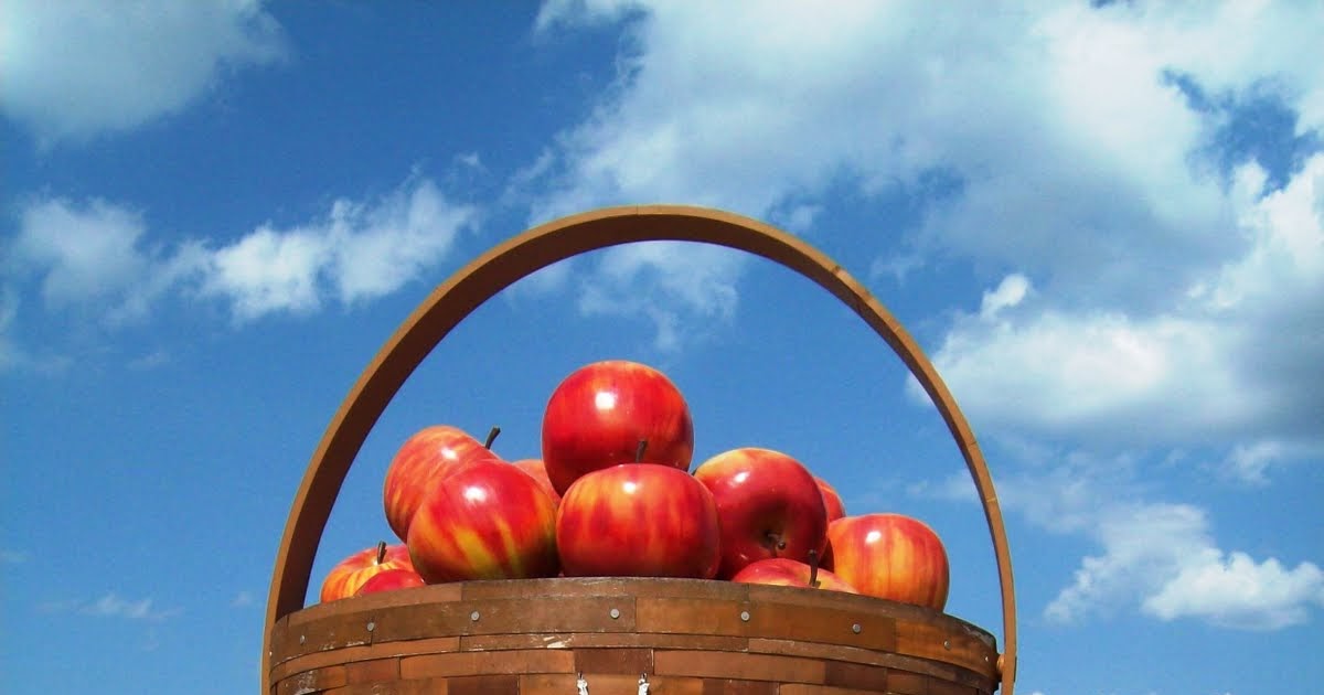 Bluhouse News The Longaberger Basket Factory