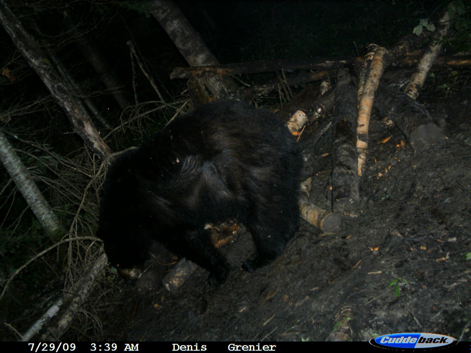[2009+BEAR+BAITS+PAKWASH+067.jpg]