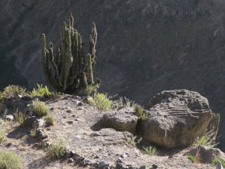 [IMG_2465.JPG]