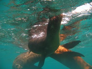 [IMG_1059.JPG]