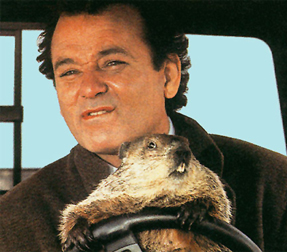 groundhog day debbie ground hog day yum groundhog day debbie ground hog day yum