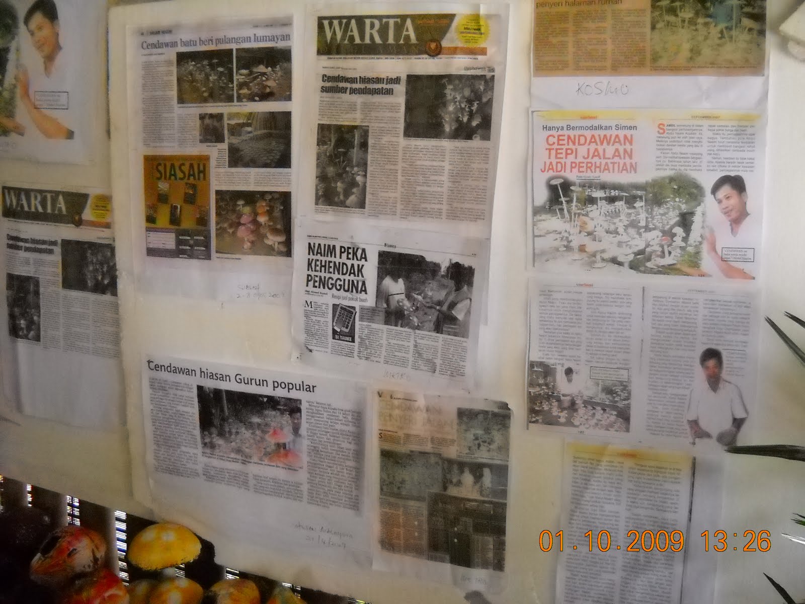 [DSCN1800.JPG]