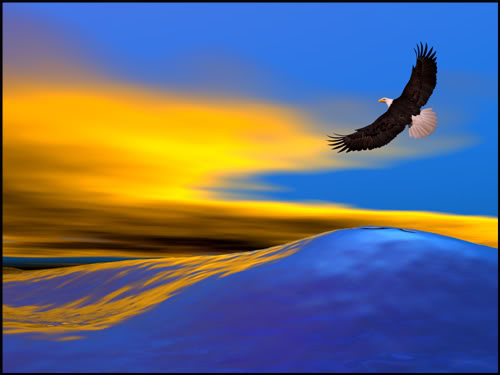FOTO AGUILAS VOLANDO foto aguilas volando: