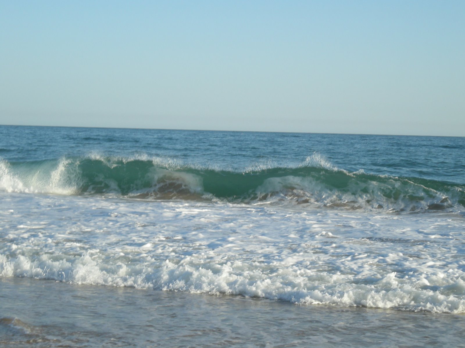 [DSCN0511.JPG]