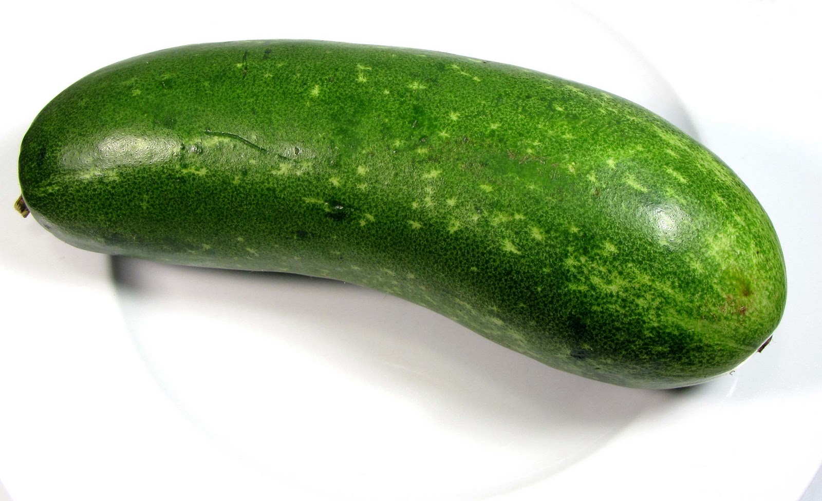 The Airy Way Mo qua (fuzzy melon) with tofu