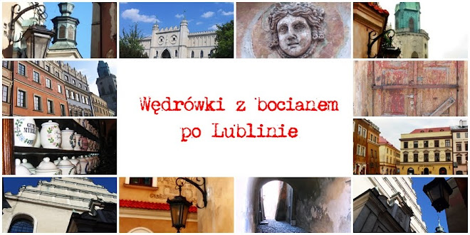 Wędrówki z bocianem po Lublinie