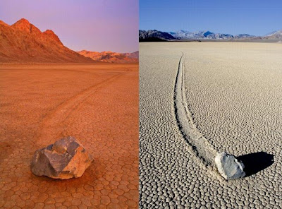 Negative effects of natural disasters essay picture