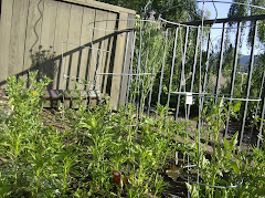 Suburban Gardening