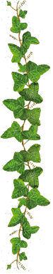 [kipos1.gif]