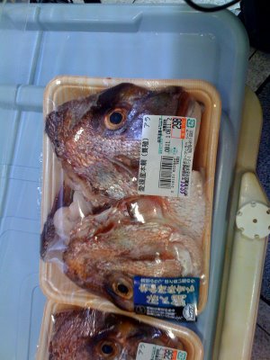 [fish.jpg]