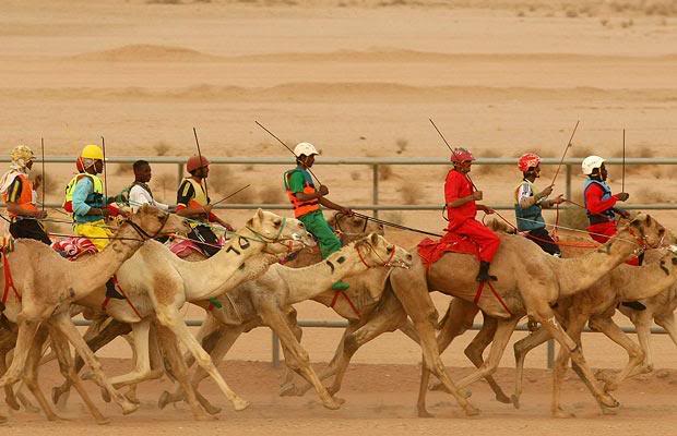 http://4.bp.blogspot.com/_4XMbo8Bae0Y/TQEUuBYqhzI/AAAAAAAAAVg/DSRZM-RQqCo/s1600/camel-racing.jpg