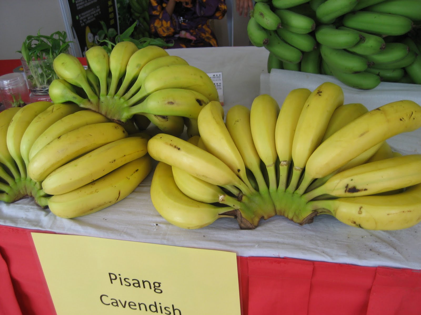 Anim Agro Technology Kultivar Pisang Di Malaysia