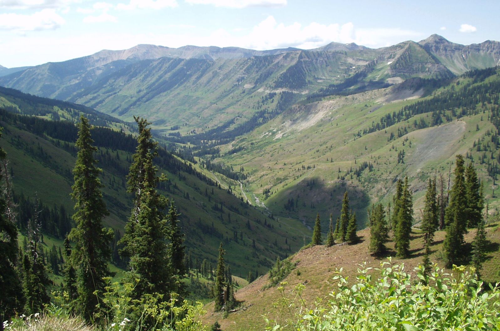 Gunnison National Forest